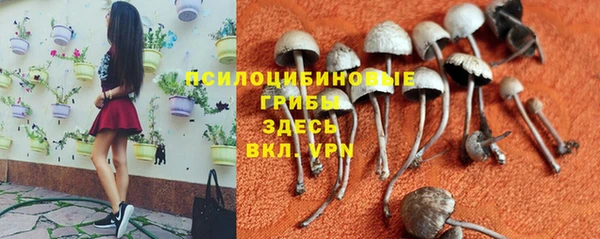 дистиллят марихуана Медногорск