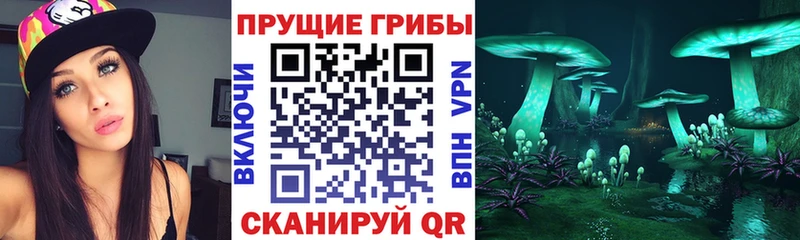 Галлюциногенные грибы мухоморы  площадка формула  Новоузенск  kraken tor 